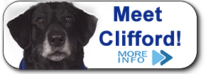 Clifford