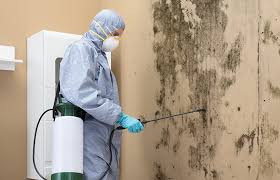 Water Damage